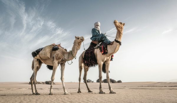 Bedouin man riding camels in the vast desert of Tamanrasset, Algeria.